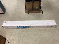 Twelve Capture brushes and handles in box