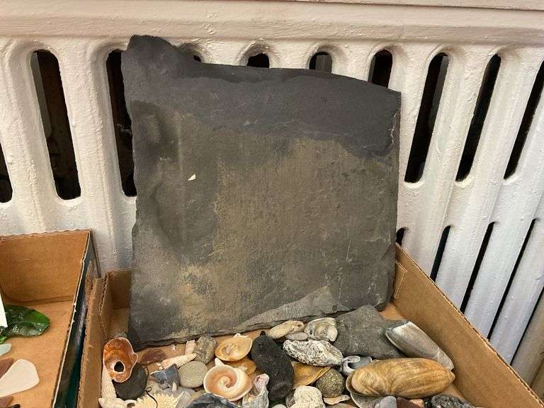 Seashells, stones, and slate