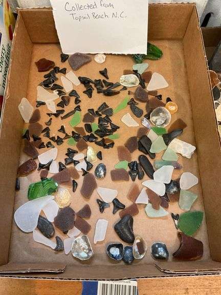 Sea glass, shark teeth, and shells collected from Topsail Beach NC