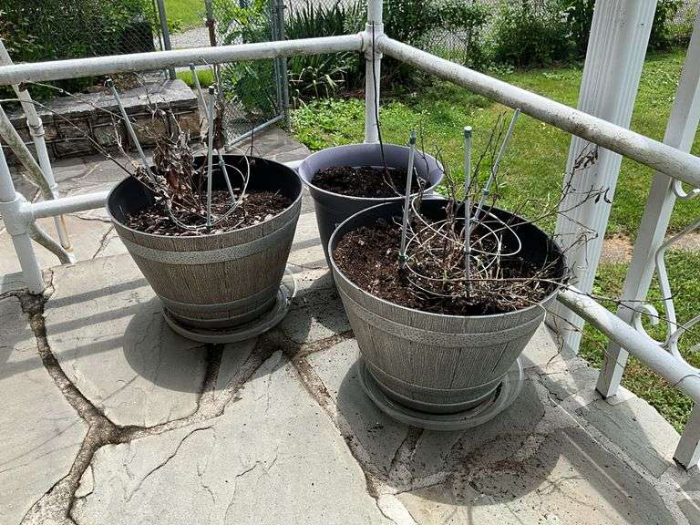 Three planter pots