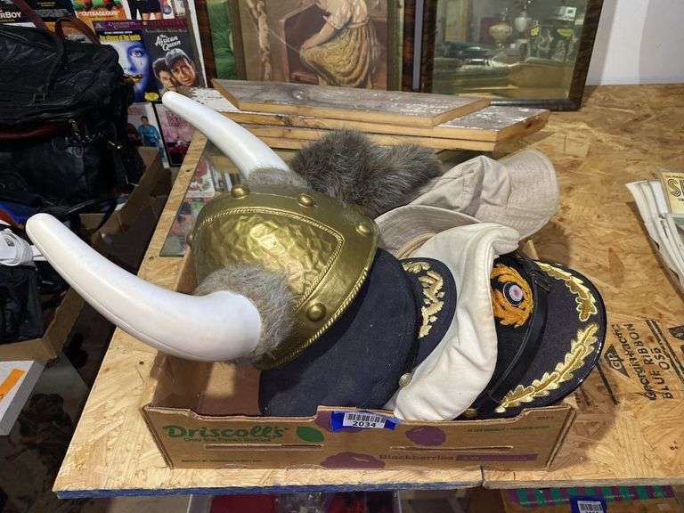 Viking helmet, racoon cap, misc hats