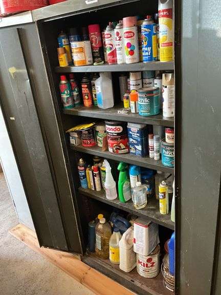 Interior contents of cabinet: paint, automotive and household products