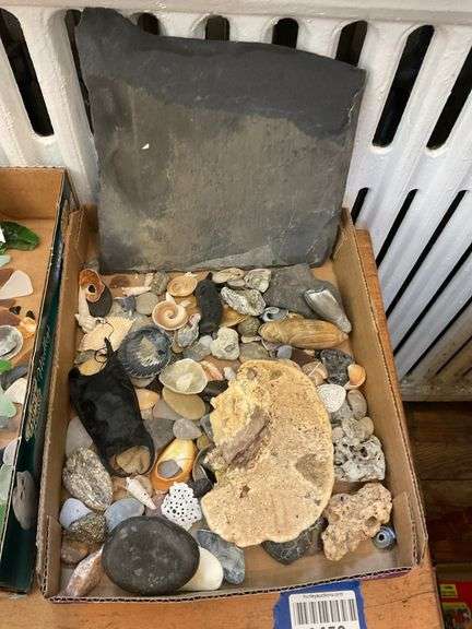 Seashells, stones, and slate