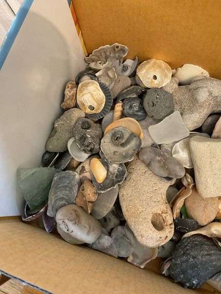 Seashells, sea glass, stones