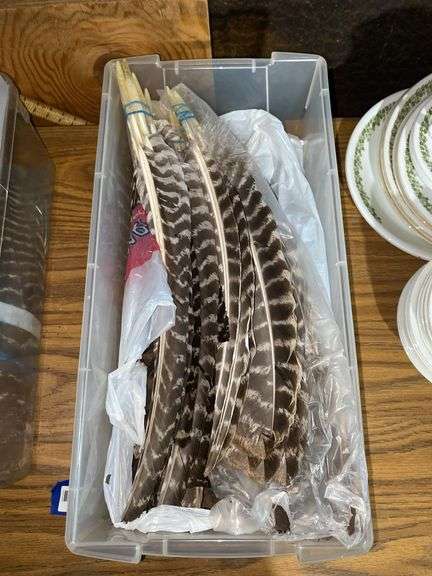 Turkey feathers