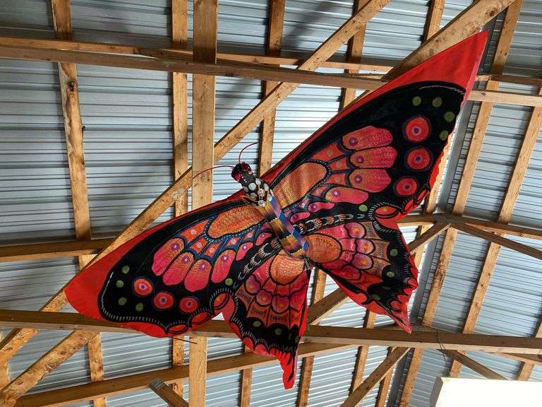 Butterfly kite