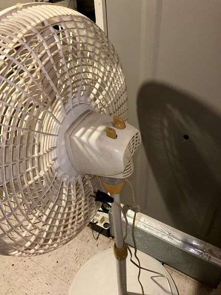 Lasso pedestal fan, cleaning supplies, mop, hand broom, dust pans
