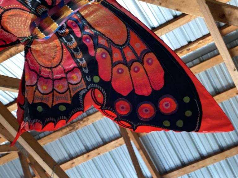 Butterfly kite