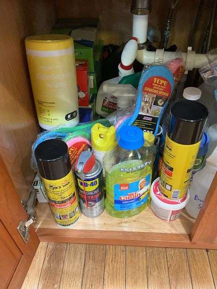 Under sink contents