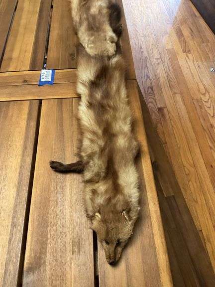 Vintage fur chasers