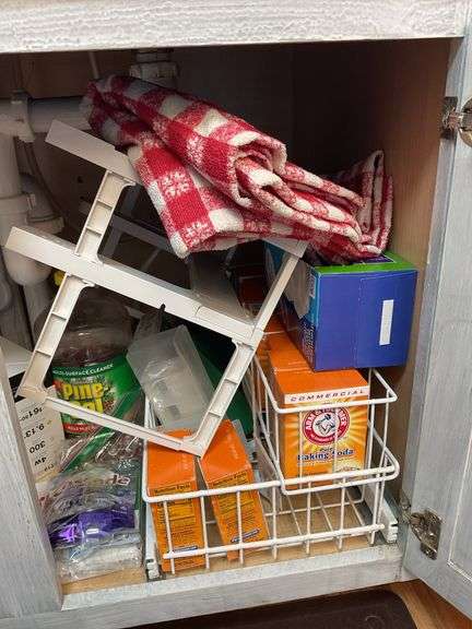 Under sink contents