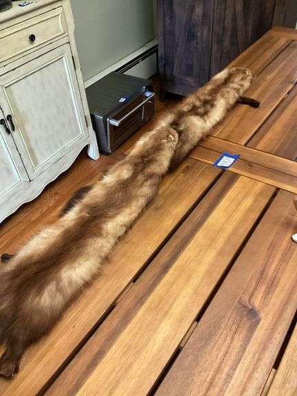 Vintage fur chasers