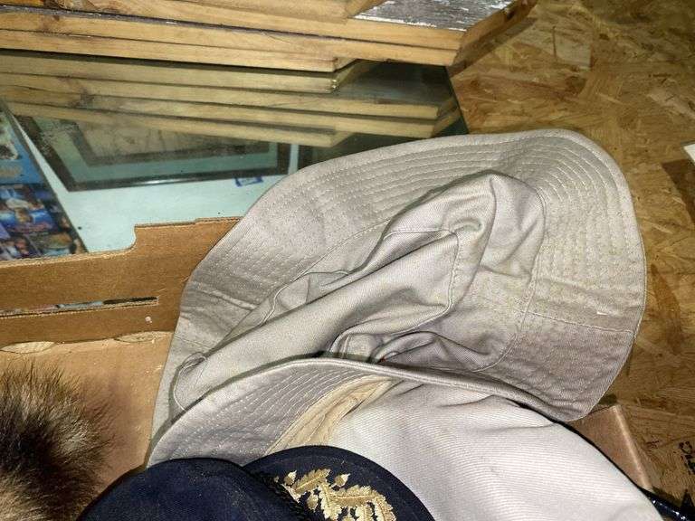 Viking helmet, racoon cap, misc hats