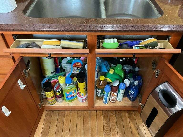 Under sink contents