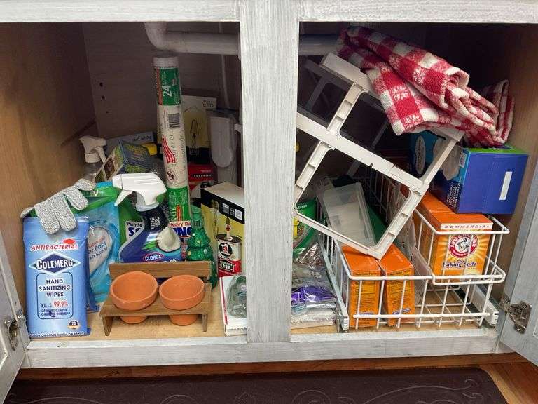 Under sink contents