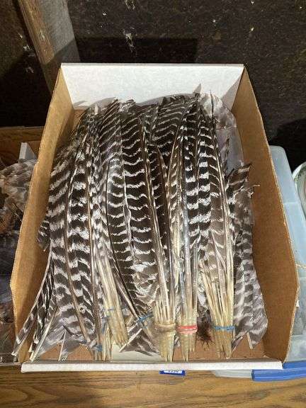 Turkey feathers