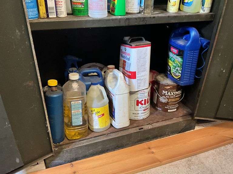 Interior contents of cabinet: paint, automotive and household products