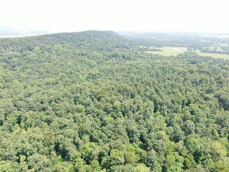 Real Estate: 43± Acres Hunter Rd, Mercersburg, PA 17236