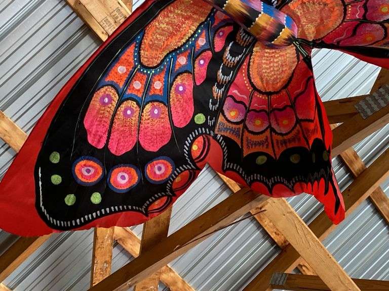 Butterfly kite