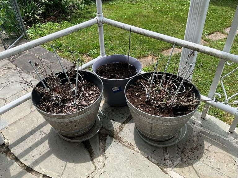 Three planter pots
