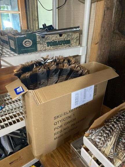 Mounted turkey tail feathers