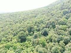 Real Estate: 43± Acres Hunter Rd, Mercersburg, PA 17236