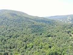 Real Estate: 43± Acres Hunter Rd, Mercersburg, PA 17236