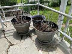 Three planter pots