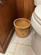 Contents of bathroom: iron, ironing board, rolling stand, waste basket, craft supplies, lightbubls