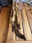Vintage fur chasers