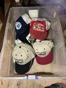 Baseball caps lot in tote