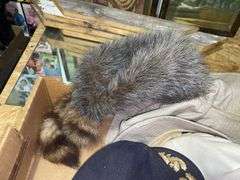 Viking helmet, racoon cap, misc hats