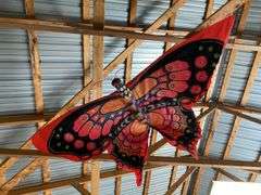 Butterfly kite
