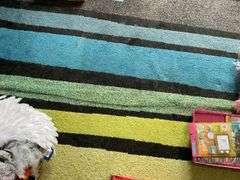 Striped rug 92 in x 125 in - no contents