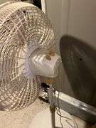 Lasso pedestal fan, cleaning supplies, mop, hand broom, dust pans
