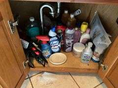 Contents of bath/laundry room: Bath stool, towels, heath & body products, walker, under sink contents, wall plaque, misc. Washer and Dryer NOT FOR SALE.