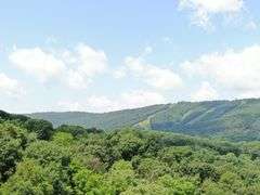 Real Estate: 43± Acres Hunter Rd, Mercersburg, PA 17236