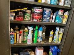Interior contents of cabinet: paint, automotive and household products