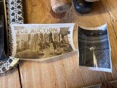 Snapshots and paper collectibles