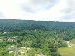 Real Estate: 52± Acres Needmore Rd, Martinsburg, WV 25403