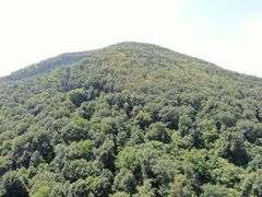 Real Estate: 43± Acres Hunter Rd, Mercersburg, PA 17236