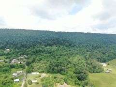 Real Estate: 52± Acres Needmore Rd, Martinsburg, WV 25403