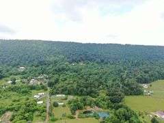Real Estate: 52± Acres Needmore Rd, Martinsburg, WV 25403