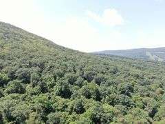 Real Estate: 43± Acres Hunter Rd, Mercersburg, PA 17236