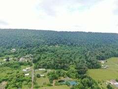 Real Estate: 52± Acres Needmore Rd, Martinsburg, WV 25403