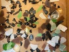 Sea glass, shark teeth, and shells collected from Topsail Beach NC