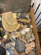 Seashells, stones, and slate