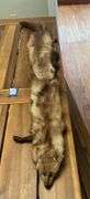 Vintage fur chasers