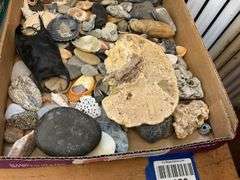 Seashells, stones, and slate