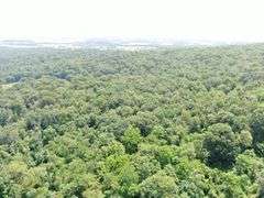 Real Estate: 43± Acres Hunter Rd, Mercersburg, PA 17236